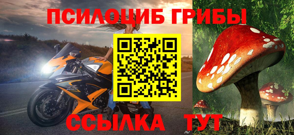 Псилоцибиновые грибы прущие грибы Холмск